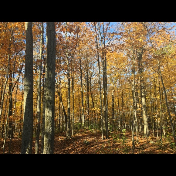 Meet your Posher, Nadia - Picture 1 of 1